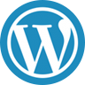 Wordpress website